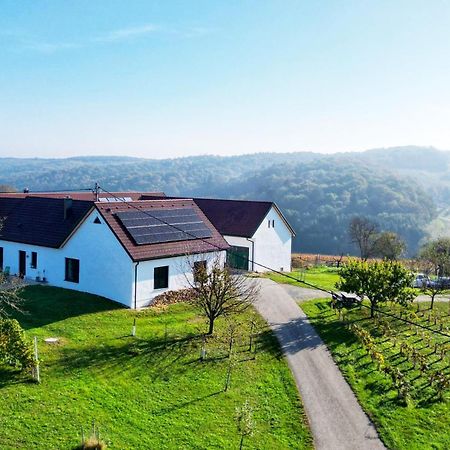Kaeferberghof Im Burgenland, Komfortzimmer Mit Fruehstueck, Bed & Breakfast, Urlaub Am Bauernhof Eltendorf Екстер'єр фото